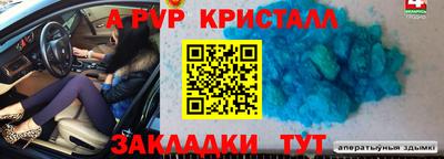 СК Тара