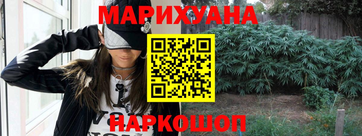 Конопля тримм  Марихуана Amnesia  Конопля планчик  Астрахань  Вход с VPN  Канабис сатива 
